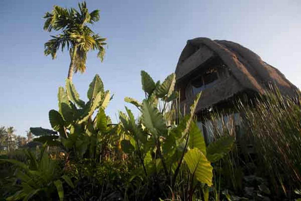 Ubud Hidden Villa Yone Village Dış mekan fotoğraf