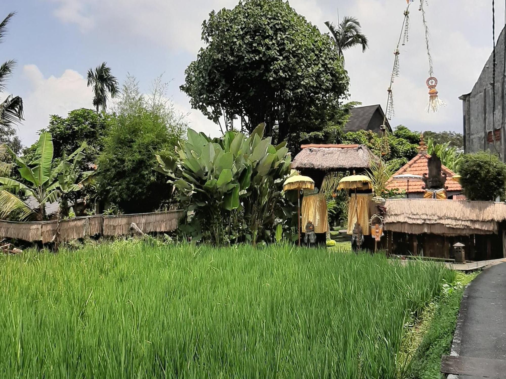 Ubud Hidden Villa Yone Village Dış mekan fotoğraf