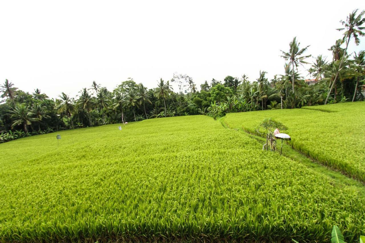 Ubud Hidden Villa Yone Village Dış mekan fotoğraf